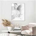 Picture of White Floral Hues _GroupedProduct_Rectangle_Portrait_Photography _GroupedProduct_Rectangle_Portrait_Canvas_Framed_