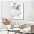 Picture of White Floral Hues _GroupedProduct_Rectangle_Portrait_Photography _GroupedProduct_Rectangle_Portrait_Canvas_Framed_