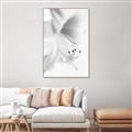 Picture of White Floral Hues _GroupedProduct_Rectangle_Portrait_Photography _GroupedProduct_Rectangle_Portrait_Canvas_Framed_