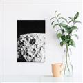 Picture of Moon Landing _GroupedProduct_Rectangle_Portrait_Photography _GroupedProduct_Rectangle_Portrait_Unframed_Print_Only_