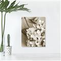 Picture of The Flowers He Gave _GroupedProduct_Rectangle_Portrait_Photography _GroupedProduct_Rectangle_Portrait_Unframed_Print_Only_