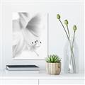 Picture of White Floral Hues _GroupedProduct_Rectangle_Portrait_Photography _GroupedProduct_Rectangle_Portrait_Unframed_Print_Only_