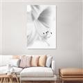 Picture of White Floral Hues _GroupedProduct_Rectangle_Portrait_Photography _GroupedProduct_Rectangle_Portrait_Unframed_Print_Only_