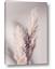 Picture of Enchanted Pampas Grass