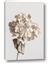Picture of Lullaby of a Beige Flower