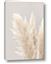 Picture of Creamy Petal Pampas I