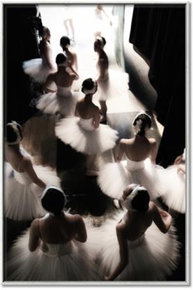 Picture of Pale Bloom Ensemble