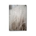 Picture of Elysian Grass _GroupedProduct_Rectangle_Portrait_Photography _GroupedProduct_Rectangle_Portrait_Canvas_
