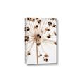 Picture of Ethereal Flower _GroupedProduct_Rectangle_Portrait_Photography _GroupedProduct_Rectangle_Portrait_Canvas_
