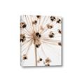 Picture of Ethereal Flower _GroupedProduct_Rectangle_Portrait_Photography _GroupedProduct_Rectangle_Portrait_Canvas_