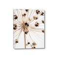 Picture of Ethereal Flower _GroupedProduct_Rectangle_Portrait_Photography _GroupedProduct_Rectangle_Portrait_Canvas_