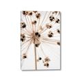 Picture of Ethereal Flower _GroupedProduct_Rectangle_Portrait_Photography _GroupedProduct_Rectangle_Portrait_Canvas_