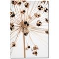 Picture of Ethereal Flower _GroupedProduct_Rectangle_Portrait_Photography _GroupedProduct_Rectangle_Portrait_Canvas_