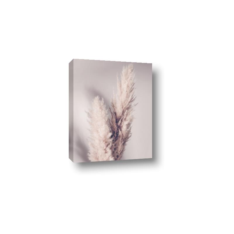 Picture of Enchanted Pampas Grass _GroupedProduct_Rectangle_Portrait_Photography _GroupedProduct_Rectangle_Portrait_Canvas_