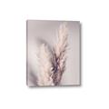 Picture of Enchanted Pampas Grass _GroupedProduct_Rectangle_Portrait_Photography _GroupedProduct_Rectangle_Portrait_Canvas_