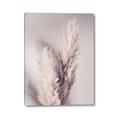 Picture of Enchanted Pampas Grass _GroupedProduct_Rectangle_Portrait_Photography _GroupedProduct_Rectangle_Portrait_Canvas_