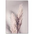 Picture of Enchanted Pampas Grass _GroupedProduct_Rectangle_Portrait_Photography _GroupedProduct_Rectangle_Portrait_Canvas_