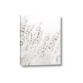 Picture of Grass straws _GroupedProduct_Rectangle_Portrait_Photography _GroupedProduct_Rectangle_Portrait_Canvas_