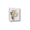 Picture of Lullaby of a Beige Flower _GroupedProduct_Rectangle_Portrait_Photography _GroupedProduct_Rectangle_Portrait_Canvas_