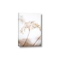 Picture of Desert Bloom Elegance _GroupedProduct_Rectangle_Portrait_Photography _GroupedProduct_Rectangle_Portrait_Canvas_