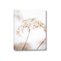 Picture of Desert Bloom Elegance _GroupedProduct_Rectangle_Portrait_Photography _GroupedProduct_Rectangle_Portrait_Canvas_