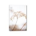 Picture of Desert Bloom Elegance _GroupedProduct_Rectangle_Portrait_Photography _GroupedProduct_Rectangle_Portrait_Canvas_