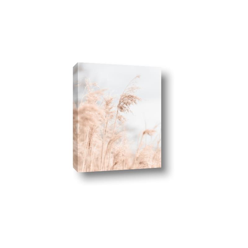 Picture of Neutral Bloom Reeds _GroupedProduct_Rectangle_Portrait_Photography _GroupedProduct_Rectangle_Portrait_Canvas_