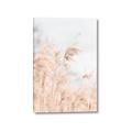 Picture of Neutral Bloom Reeds _GroupedProduct_Rectangle_Portrait_Photography _GroupedProduct_Rectangle_Portrait_Canvas_