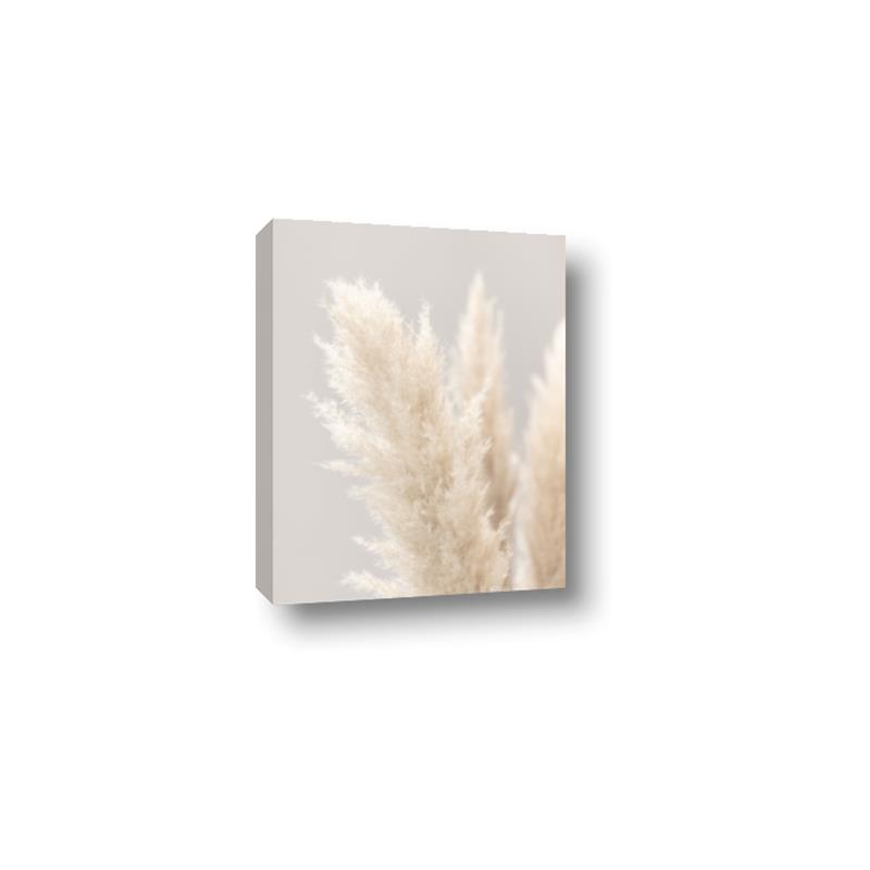 Picture of Creamy Petal Pampas I _GroupedProduct_Rectangle_Portrait_Photography _GroupedProduct_Rectangle_Portrait_Canvas_
