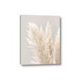 Picture of Creamy Petal Pampas I _GroupedProduct_Rectangle_Portrait_Photography _GroupedProduct_Rectangle_Portrait_Canvas_