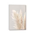 Picture of Creamy Petal Pampas I _GroupedProduct_Rectangle_Portrait_Photography _GroupedProduct_Rectangle_Portrait_Canvas_
