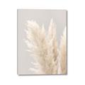 Picture of Creamy Petal Pampas I _GroupedProduct_Rectangle_Portrait_Photography _GroupedProduct_Rectangle_Portrait_Canvas_