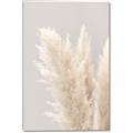 Picture of Creamy Petal Pampas I _GroupedProduct_Rectangle_Portrait_Photography _GroupedProduct_Rectangle_Portrait_Canvas_