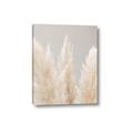 Picture of Creamy Petal Pampas II _GroupedProduct_Rectangle_Portrait_Photography _GroupedProduct_Rectangle_Portrait_Canvas_