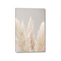 Picture of Creamy Petal Pampas II _GroupedProduct_Rectangle_Portrait_Photography _GroupedProduct_Rectangle_Portrait_Canvas_