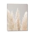 Picture of Creamy Petal Pampas II _GroupedProduct_Rectangle_Portrait_Photography _GroupedProduct_Rectangle_Portrait_Canvas_