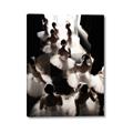 Picture of Pale Bloom Ensemble _GroupedProduct_Rectangle_Portrait_Photography _GroupedProduct_Rectangle_Portrait_Canvas_