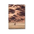 Picture of Tranquil Walk in the Valley _GroupedProduct_Rectangle_Portrait_Photography _GroupedProduct_Rectangle_Portrait_Canvas_
