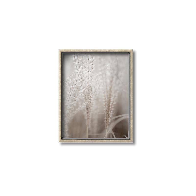 Picture of Elysian Grass _GroupedProduct_Rectangle_Portrait_Photography _GroupedProduct_Rectangle_Portrait_Canvas_Framed_