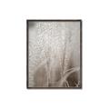 Picture of Elysian Grass _GroupedProduct_Rectangle_Portrait_Photography _GroupedProduct_Rectangle_Portrait_Canvas_Framed_
