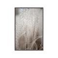 Picture of Elysian Grass _GroupedProduct_Rectangle_Portrait_Photography _GroupedProduct_Rectangle_Portrait_Canvas_Framed_
