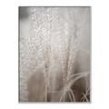 Picture of Elysian Grass _GroupedProduct_Rectangle_Portrait_Photography _GroupedProduct_Rectangle_Portrait_Canvas_Framed_