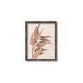 Picture of Dried Eucalyptus Blossom _GroupedProduct_Rectangle_Portrait_Photography _GroupedProduct_Rectangle_Portrait_Canvas_Framed_