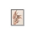 Picture of Dried Eucalyptus Blossom _GroupedProduct_Rectangle_Portrait_Photography _GroupedProduct_Rectangle_Portrait_Canvas_Framed_