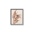 Picture of Dried Eucalyptus Blossom _GroupedProduct_Rectangle_Portrait_Photography _GroupedProduct_Rectangle_Portrait_Canvas_Framed_