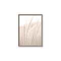 Picture of Rhapsody of Grass Blades _GroupedProduct_Rectangle_Portrait_Photography _GroupedProduct_Rectangle_Portrait_Canvas_Framed_