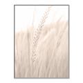 Picture of Rhapsody of Grass Blades _GroupedProduct_Rectangle_Portrait_Photography _GroupedProduct_Rectangle_Portrait_Canvas_Framed_