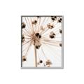 Picture of Ethereal Flower _GroupedProduct_Rectangle_Portrait_Photography _GroupedProduct_Rectangle_Portrait_Canvas_Framed_