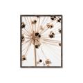 Picture of Ethereal Flower _GroupedProduct_Rectangle_Portrait_Photography _GroupedProduct_Rectangle_Portrait_Canvas_Framed_