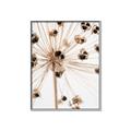Picture of Ethereal Flower _GroupedProduct_Rectangle_Portrait_Photography _GroupedProduct_Rectangle_Portrait_Canvas_Framed_